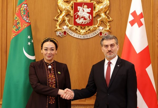 Turkmen Parliament Speaker and Georgian President hold talks on strategic cooperation
