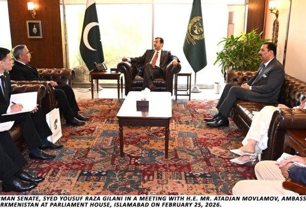 Pakistani Senate Chairman meets Turkmen ambassador to discuss energy, trade cooperation