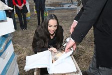 Leyla Aliyeva visits beekeeper’s family in Guba (PHOTO)
