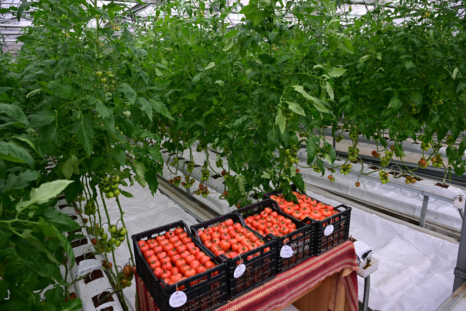 President Ilham Aliyev attends inauguration of Lankaran State Vocational Education Center (PHOTO)