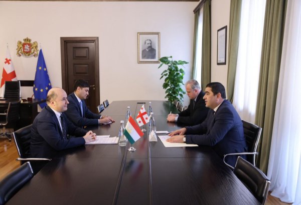Tajikistan, Georgia discuss development of bilateral interparliamentary ties