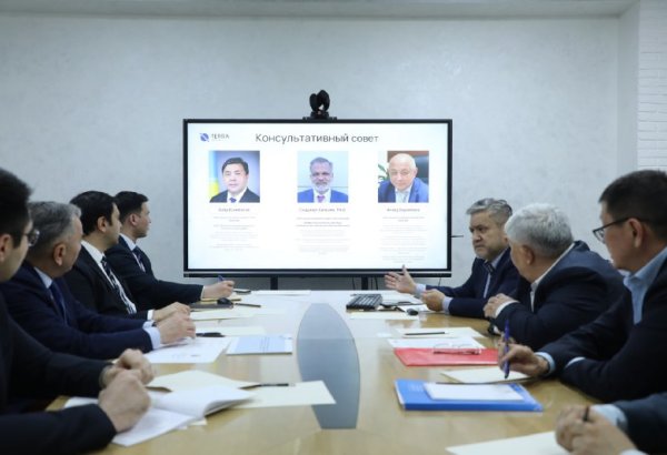 Uzbekistan, Kazakhstan’s Terra GeoCube explore joint digital projects