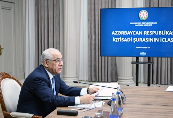 Azerbaijan’s Economic Council сonvenes for regular meeting (PHOTO)