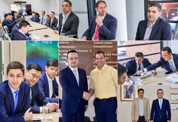 Uzbekistan, Paraguay eye industrial cooperation program for 2026–2027