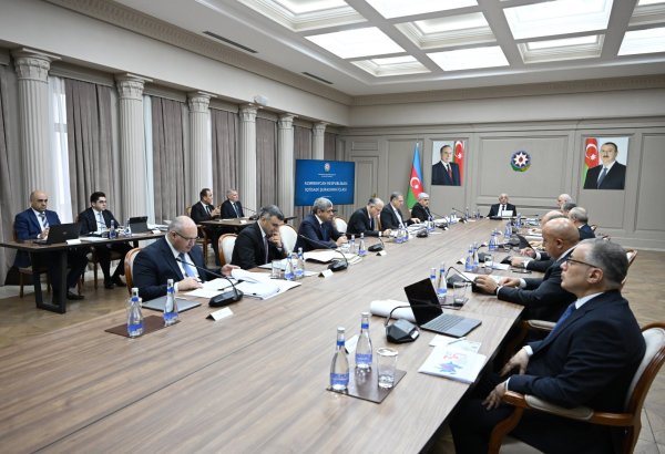 Azerbaijan's Economic Council holds regular meeting (PHOTO)