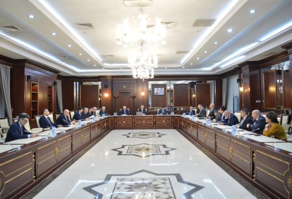 Azerbaijani Human Rights Committee reviews Ombudsperson's annual report (PHOTO)