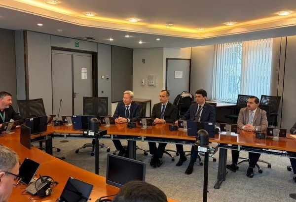 Turkmenistan seeks to strengthen EU-Central Asia ties - ambassador