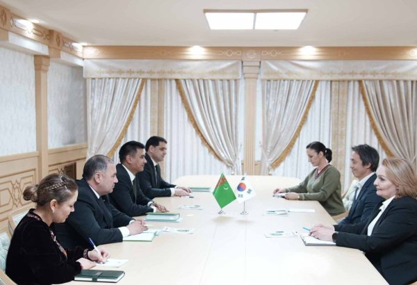 Turkmenistan and South Korea explore new migration cooperation