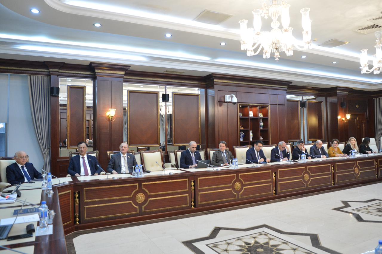 Azerbaijani Human Rights Committee reviews Ombudsperson's annual report (PHOTO)