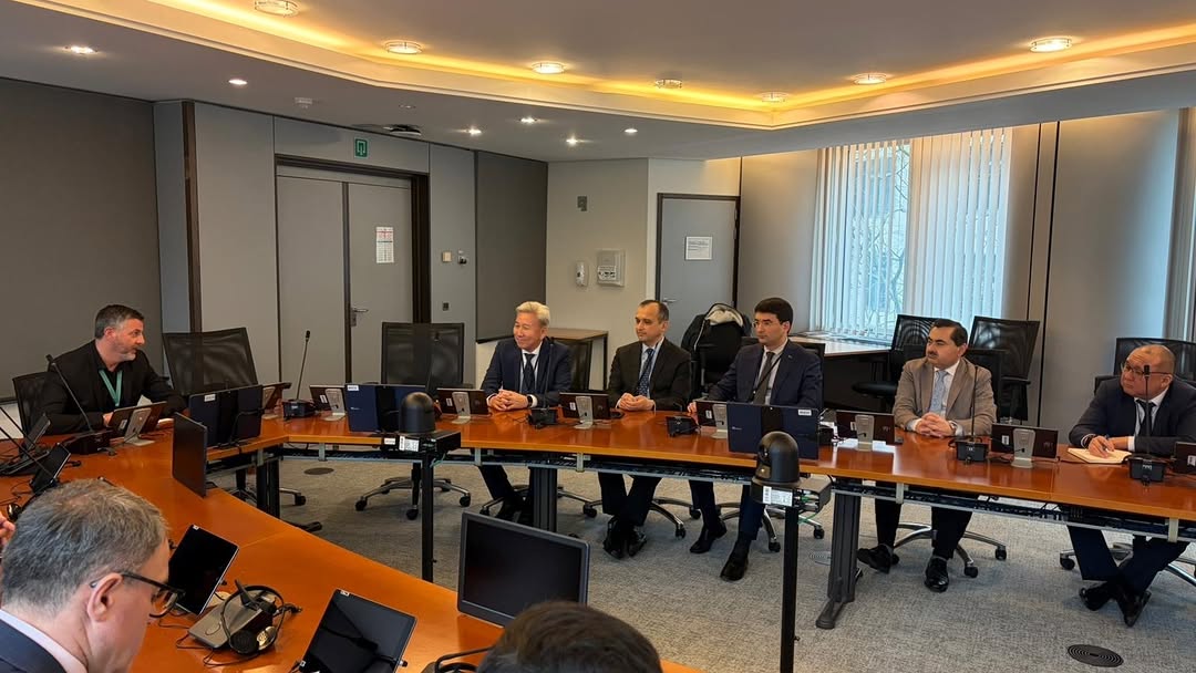 Turkmenistan seeks to strengthen EU-Central Asia ties - ambassador