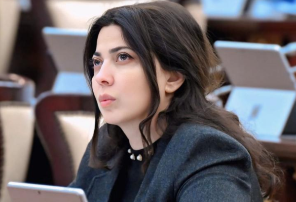 Azerbaijani MP warns Iran strike on Nakhchivan airport reveals regime’s intent