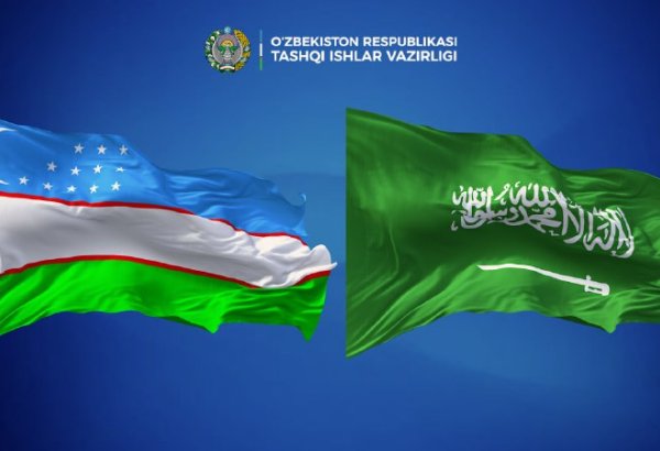 Uzbek, Saudi FMs address Middle East security concerns