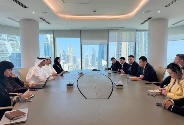 Kyrgyzstan, UAE discuss expanding trade and investment cooperation