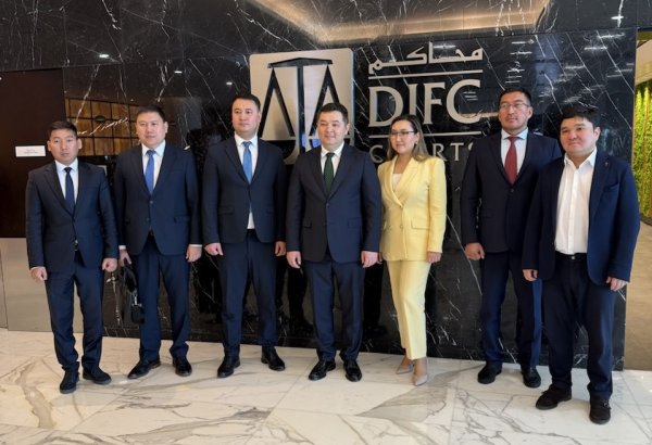 Kyrgyzstan discusses Tamchy financial zone with Emirati regulators