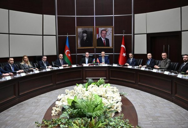 Azerbaijan and Türkiye discuss application and development of defense systems (PHOTO)