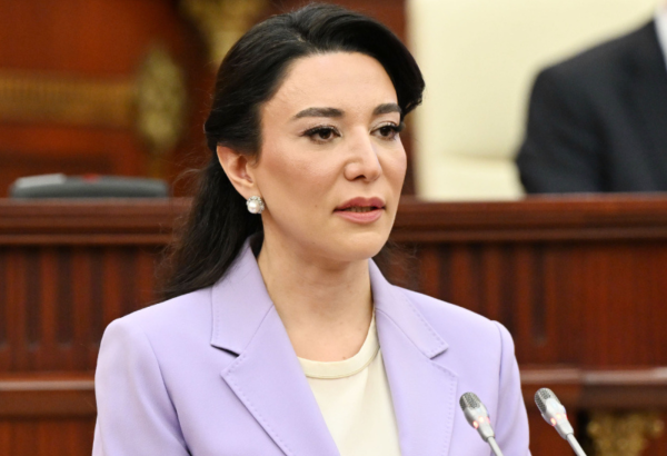 Azerbaijani Parliament adopts Ombudsperson's report