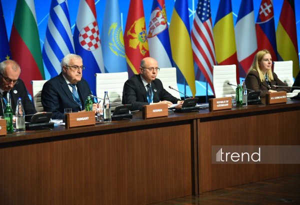 Azerbaijan urges to reject approaches deepening energy dilemma