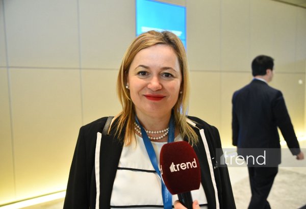 Bulgaria keen to expand energy cooperation with Azerbaijan – Deputy Minister (Exclusive)