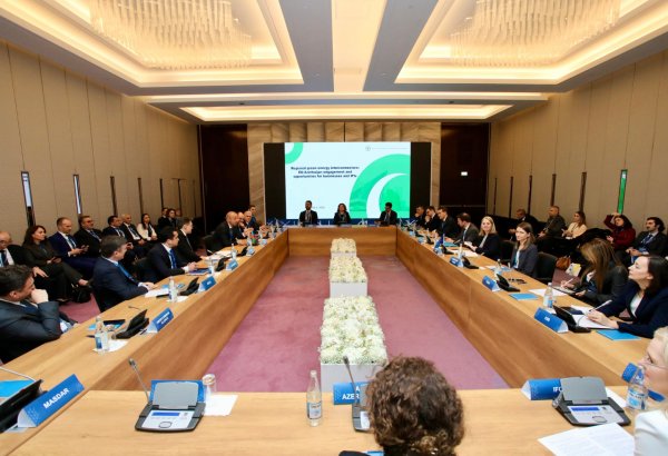Azerbaijan, EU hold roundtable on 'Investment in Green Connectivity'