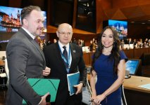 Leyla Aliyeva addresses Green Energy Projects session (PHOTO)