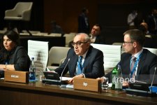 Southern Gas Corridor and Green Energy Advisory Councils meeting wraps up in Baku (PHOTO)