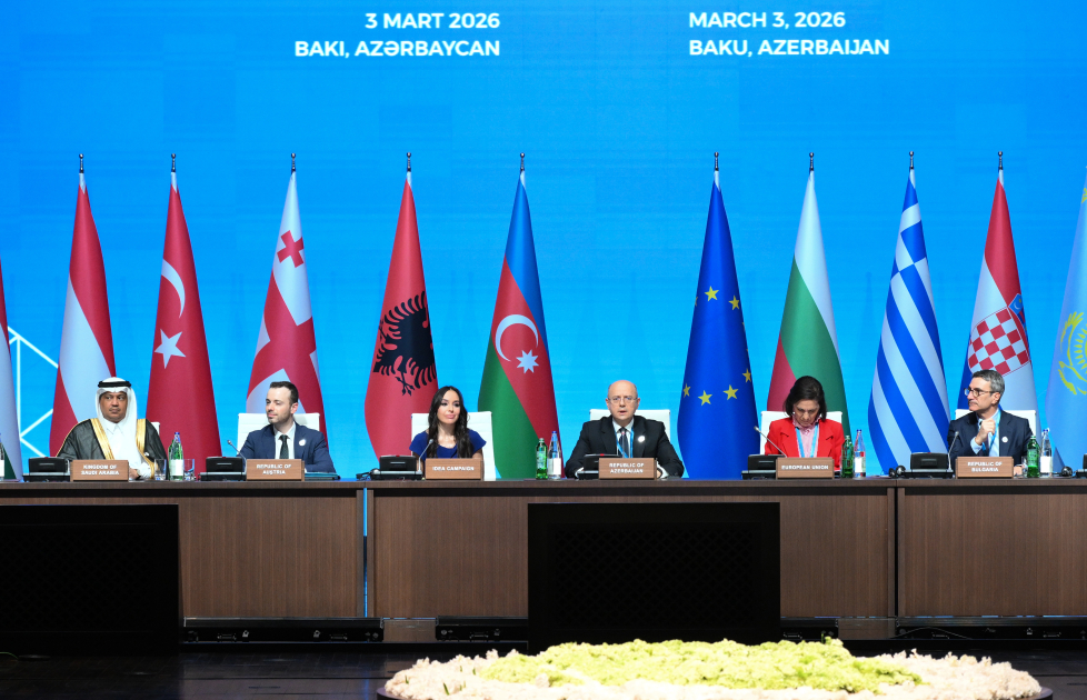 Leyla Aliyeva addresses Green Energy Projects session (PHOTO)