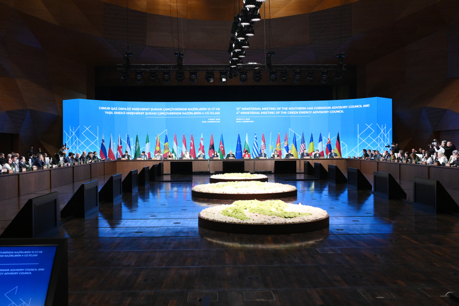 Leyla Aliyeva addresses Green Energy Projects session (PHOTO)