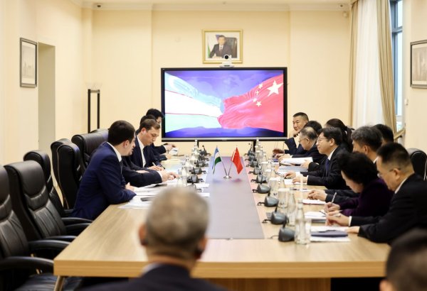 Uzbekistan, China weigh new joint projects in oil and gas sectors