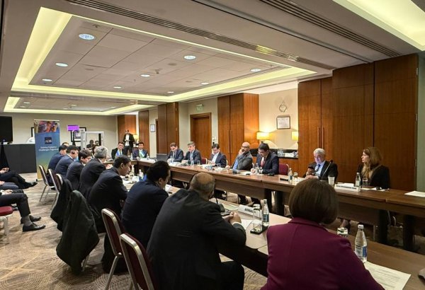 Baku sparks talks on Azerbaijan-Central Asia Green Energy Corridor (PHOTO)