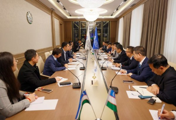 Uzbekistan, China review joint projects under Belt and Road Initiative