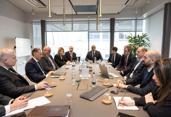 Azerbaijan and British Nscale assess prospects of cooperation