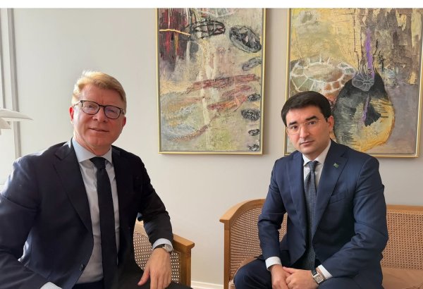 Turkmenistan, Denmark discuss transport, energy, water management cooperation