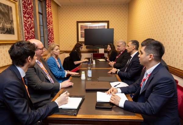 Azerbaijan and UK brainstorm expanding digital transformation synergy