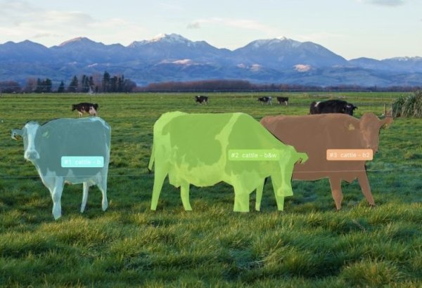 Turkmenistan sets sights on AI-powered agricultural transformation