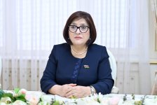 Azerbaijani parliament's speaker slams Iran's drone attacks in meeting with Moldovan FM (PHOTO)