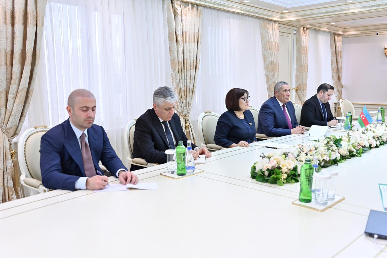 Azerbaijani parliament's speaker slams Iran's drone attacks in meeting with Moldovan FM (PHOTO)