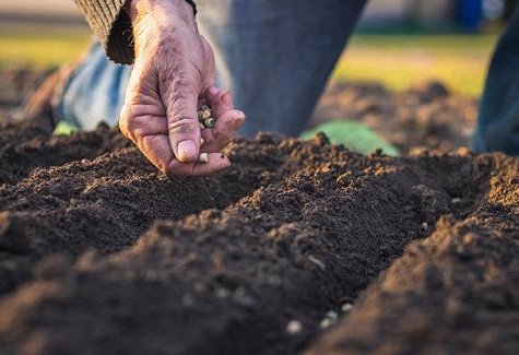 Turkmenistan’s agricultural production rises in 2M2026