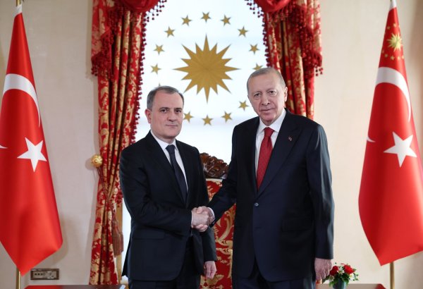 Azerbaijan's FM received by Türkiye’s President in Istanbul (PHOTO)