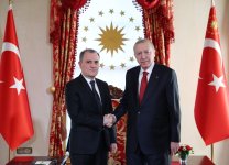 Azerbaijan's FM received by Türkiye’s President in Istanbul (PHOTO)