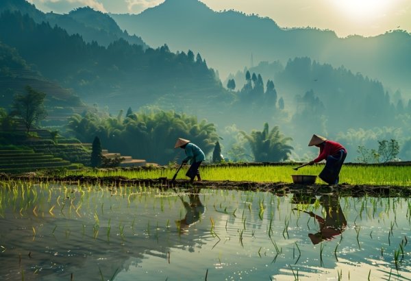 China reports growth in grain and key crop production in 2025