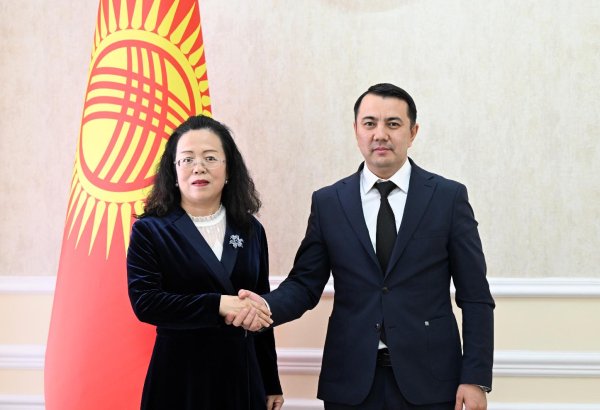 Kyrgyzstan, China discuss strengthening parliamentary and economic ties