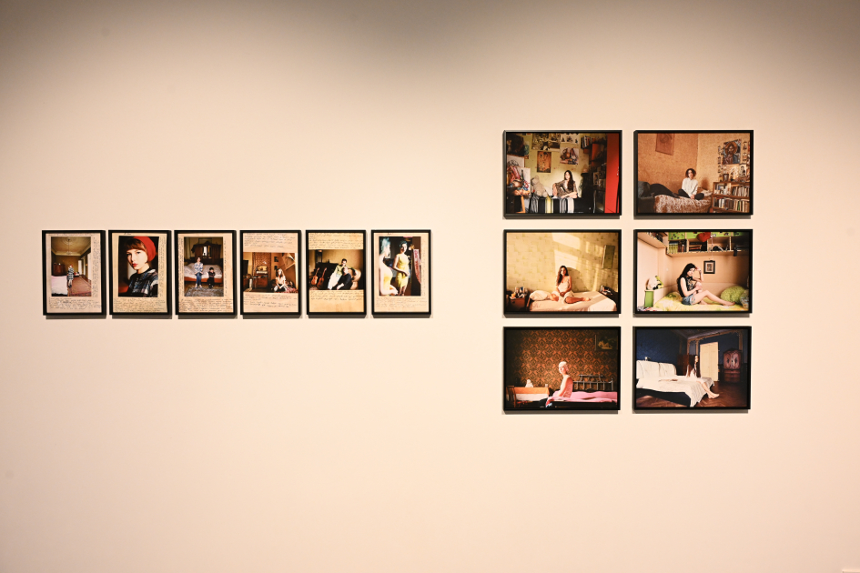 Leyla Aliyeva participates in group exhibition titled “A House Opening onto the Landscape” (PHOTO)