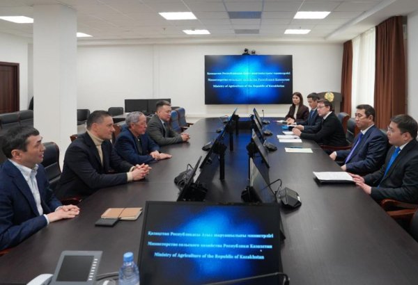 KazFelTec plans to build second wool processing in Kazakhstan