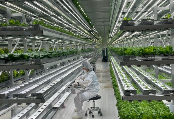 Kyrgyzstan adopts South Korean experience in agricultural digitalization