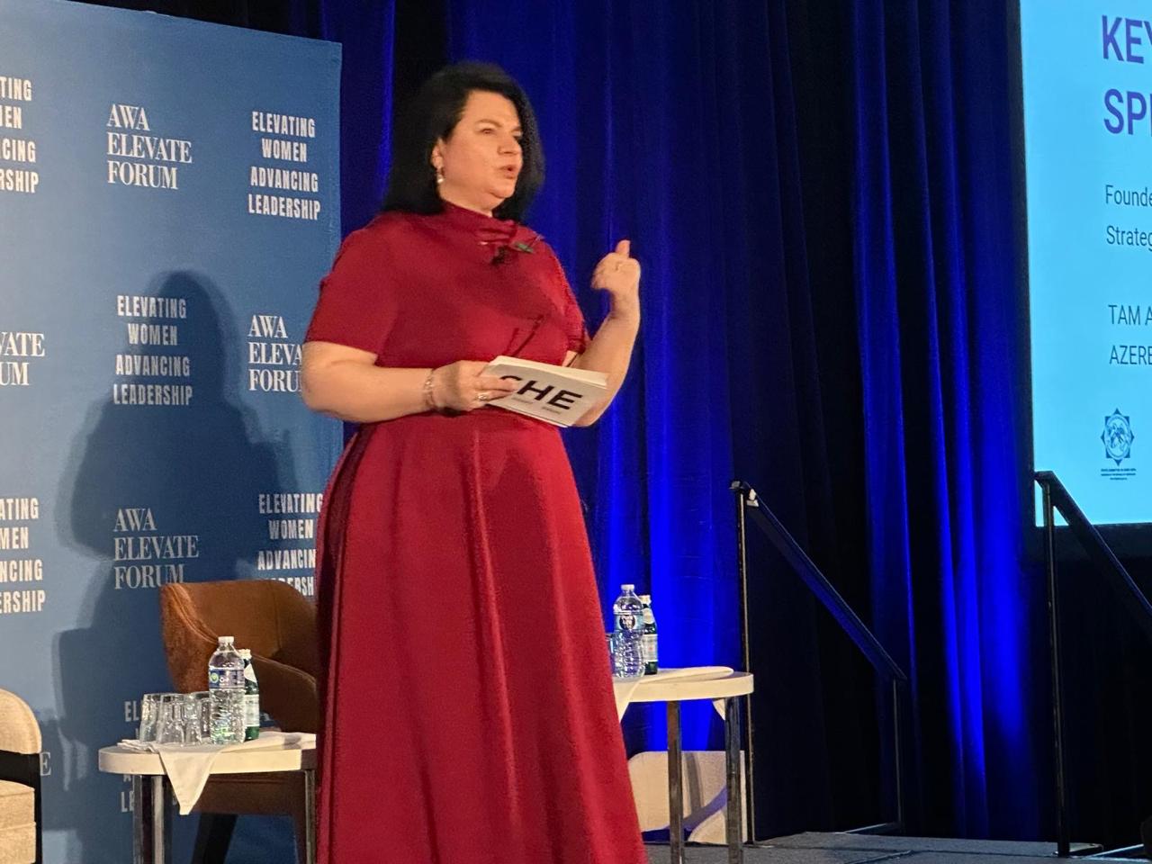 Azerbaijani women in U.S. establish platform for solidarity and development (PHOTO)