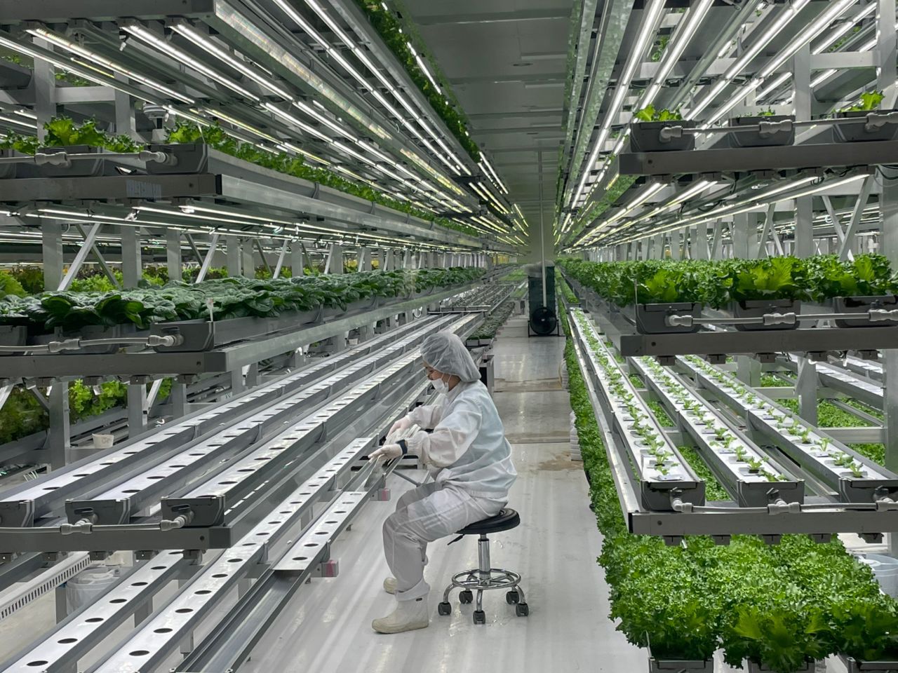 Kyrgyzstan adopts South Korean experience in agricultural digitalization