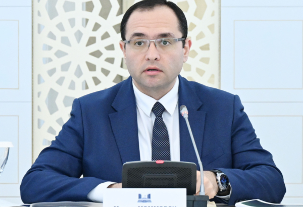 Azerbaijan's product subsidies target offsetting expenditures - minister