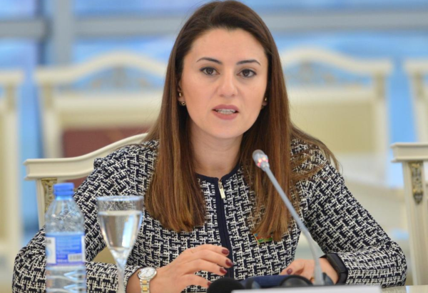 Azerbaijan's balanced foreign policy brings stability and co-op amid regional crises - commentary