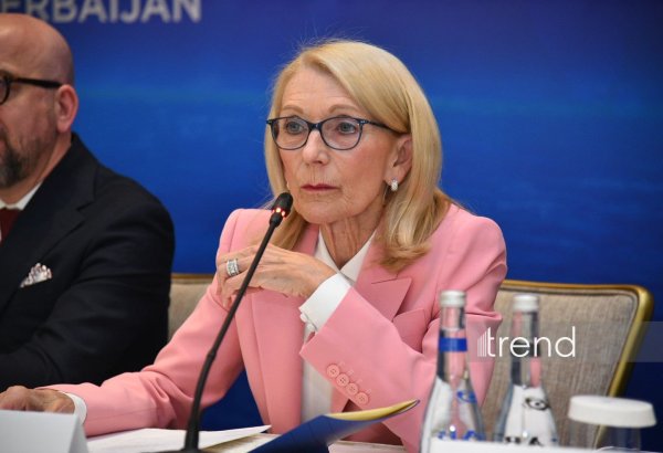 ExxonMobil's former VP highlights Azerbaijan's crucial role in pluralistic world