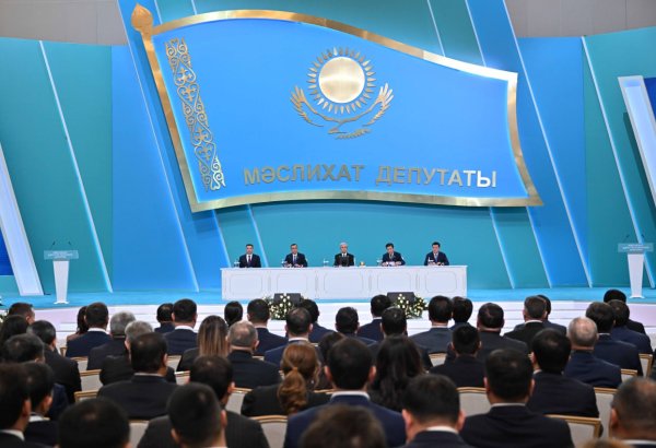 One-third of Kazakhstan’s rural district budgets formed by own revenues - Kazakh President